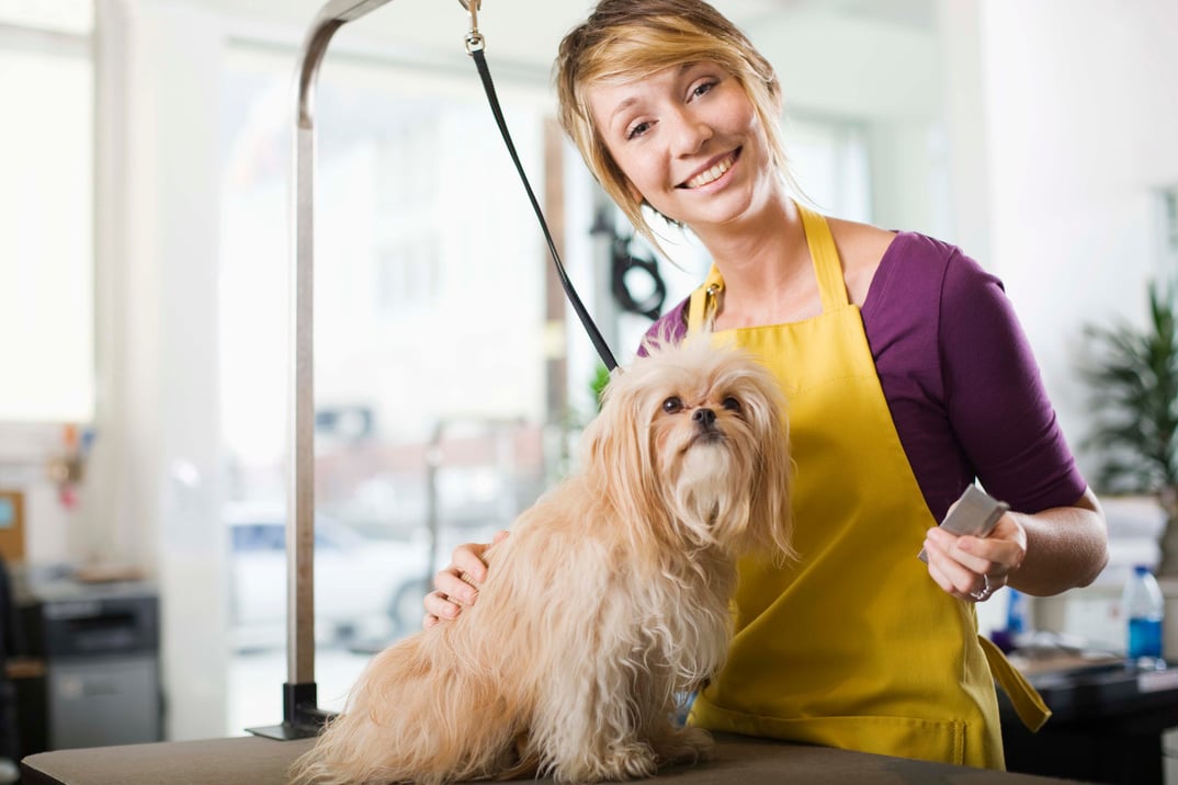 Groomer with a dog