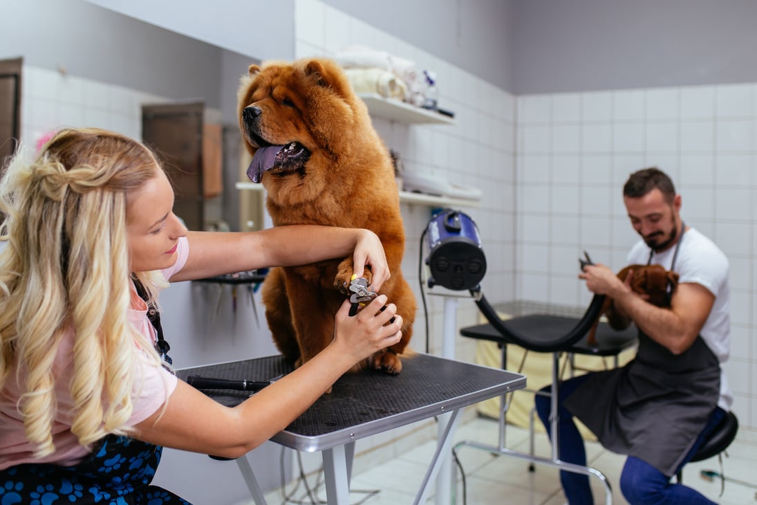 Grooming salon