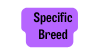 Specific Breed